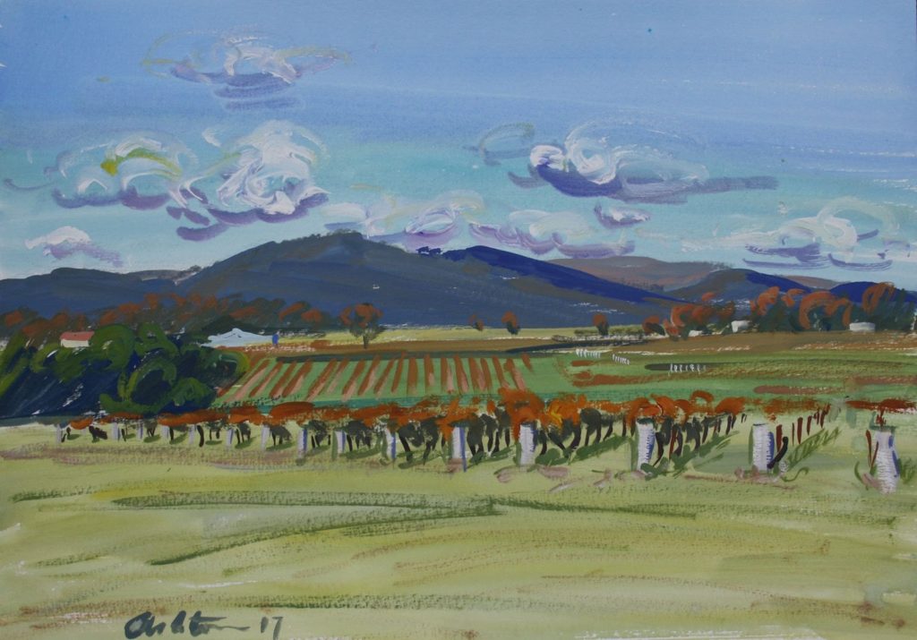 Hills and Vineyards, Stanthorpe - Graham Ashton Artist