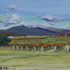 hills-and-vineyards-stanthorpe-graham-ashton-artist