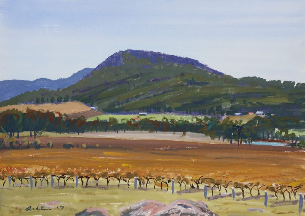 Vines and Mountains, Stanthorpe - Graham Ashton Artist