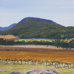 vines-and-mountains-stanthorpe-graham-ashton-artist