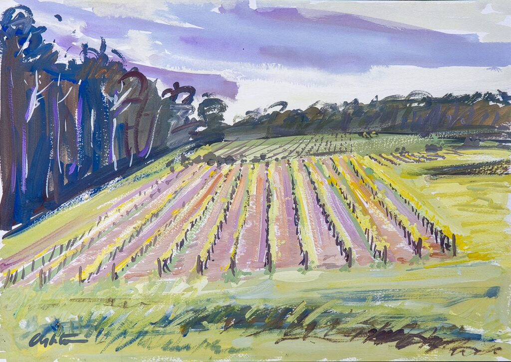 Vineyards, Margaret River, WA