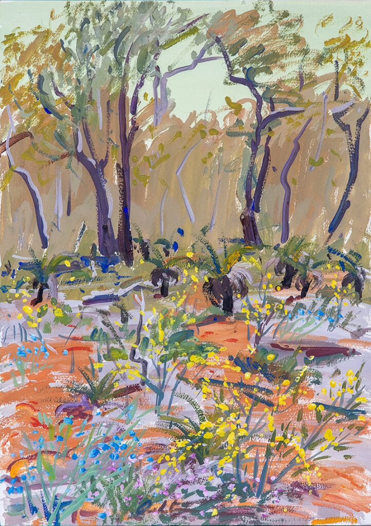 Wildflower Carpet, WA