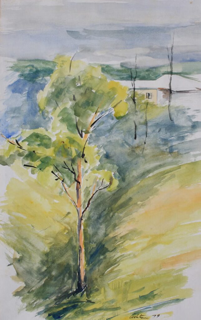 Early Summer Eucalypt - $595 (framed) Media: watercolour on paper. Size: 35 x 23 cm