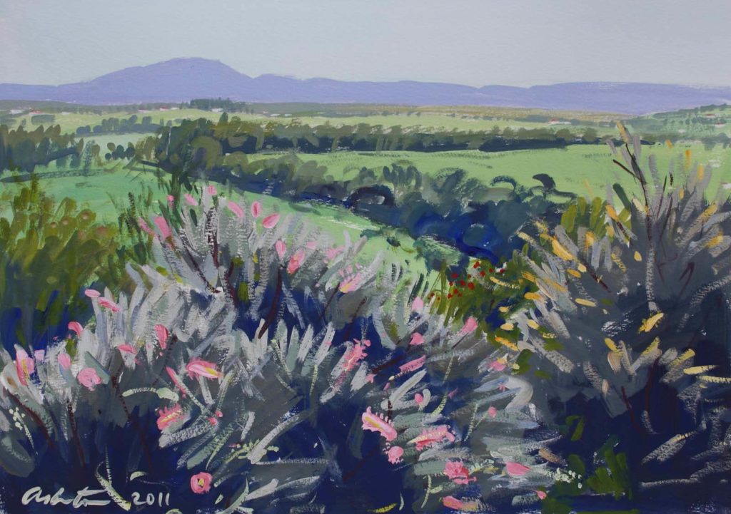 Samford Valley from the Polloks' - Graham Ashton Artist