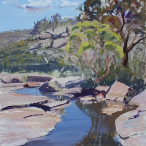 Stanthorpe Reflections - Graham Ashton Artist