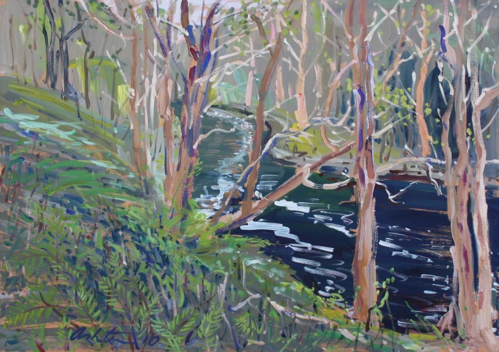 Still Glides the Stream, Bribie Island - Graham Ashton Artist