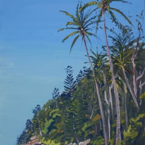 where-mountains-meet-the-sea-cape-hillsborough-north-queensland-graham-ashton-artist